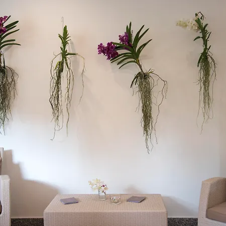 Hotel Riva Del Sole 4*