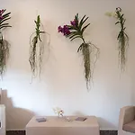 Hotel Riva Del Sole 4*